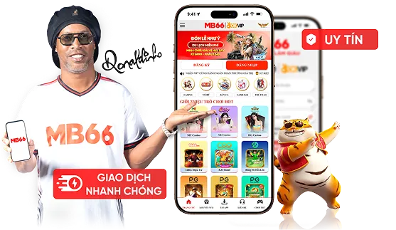 Bảo Mật Tối Ưu S666 Info