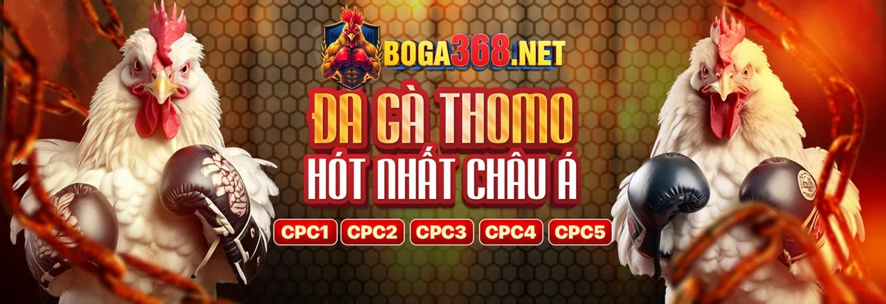 Trải nghiệm xem đá gà trực tiếp chất lượng cao tại s666 info